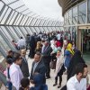 Celebration of Peace Day at Milad Tower